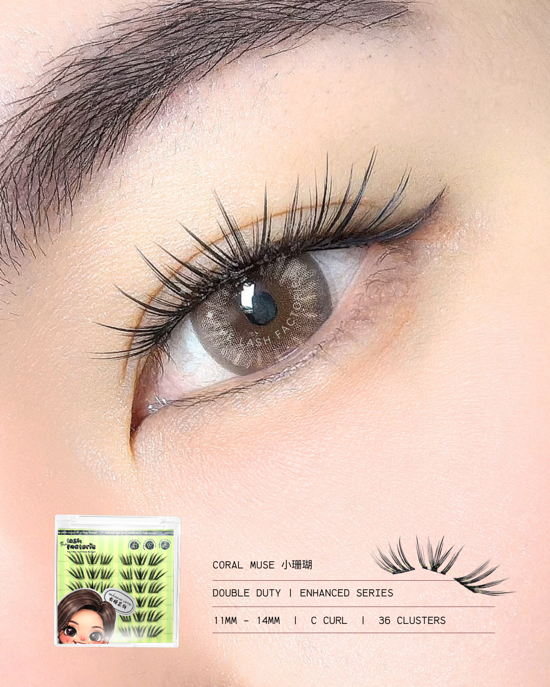 1.09 Coral Muse 小珊瑚