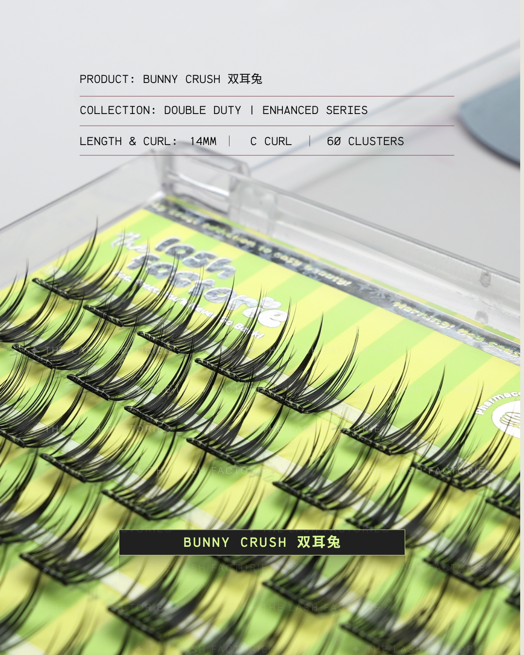 1.00 · Bunny Crush 双耳兔