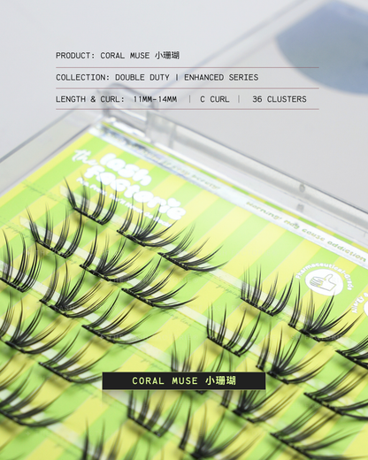 1.09 Coral Muse 小珊瑚