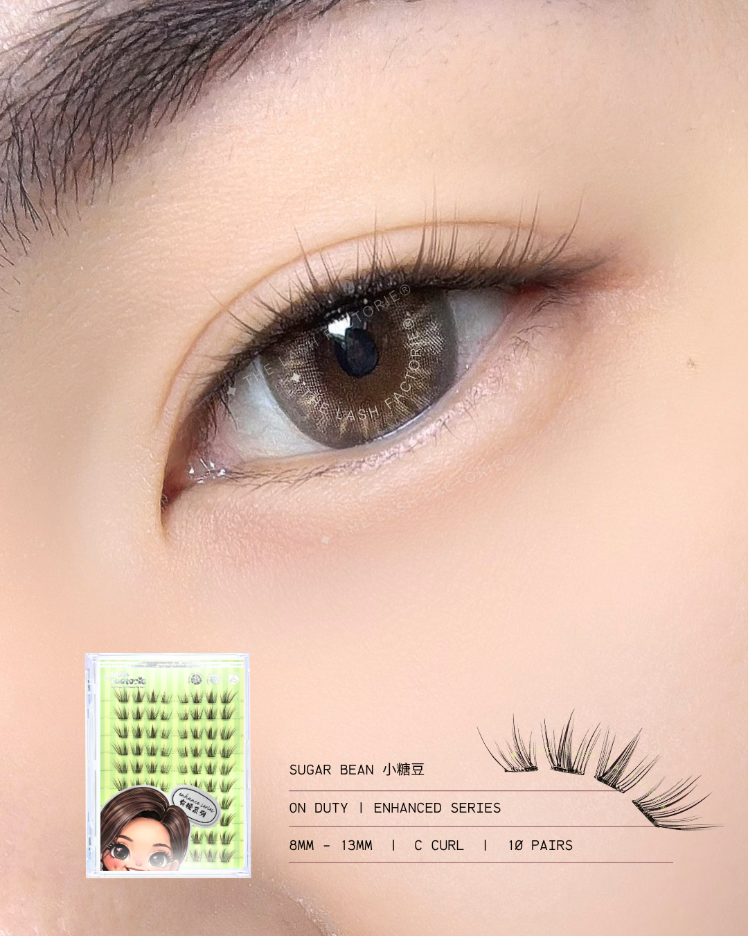 107 · Sugar Bean 小糖豆（黑棕色）