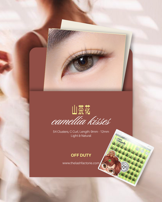 2.05 · Camellia Kiss 山茶花