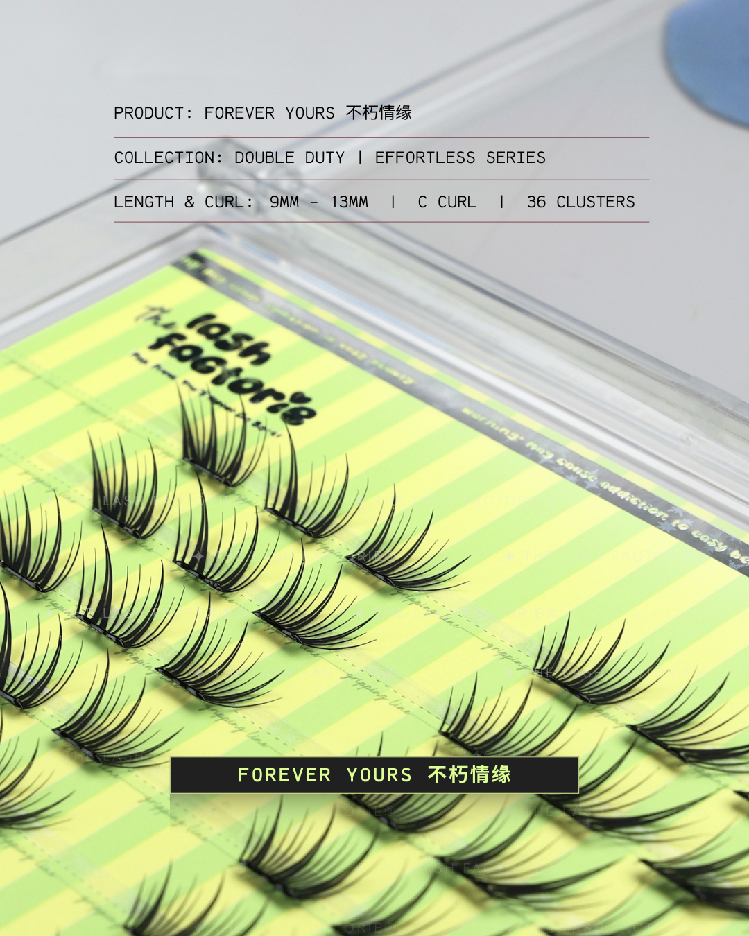 3.01 · Forever Yours 不朽情缘